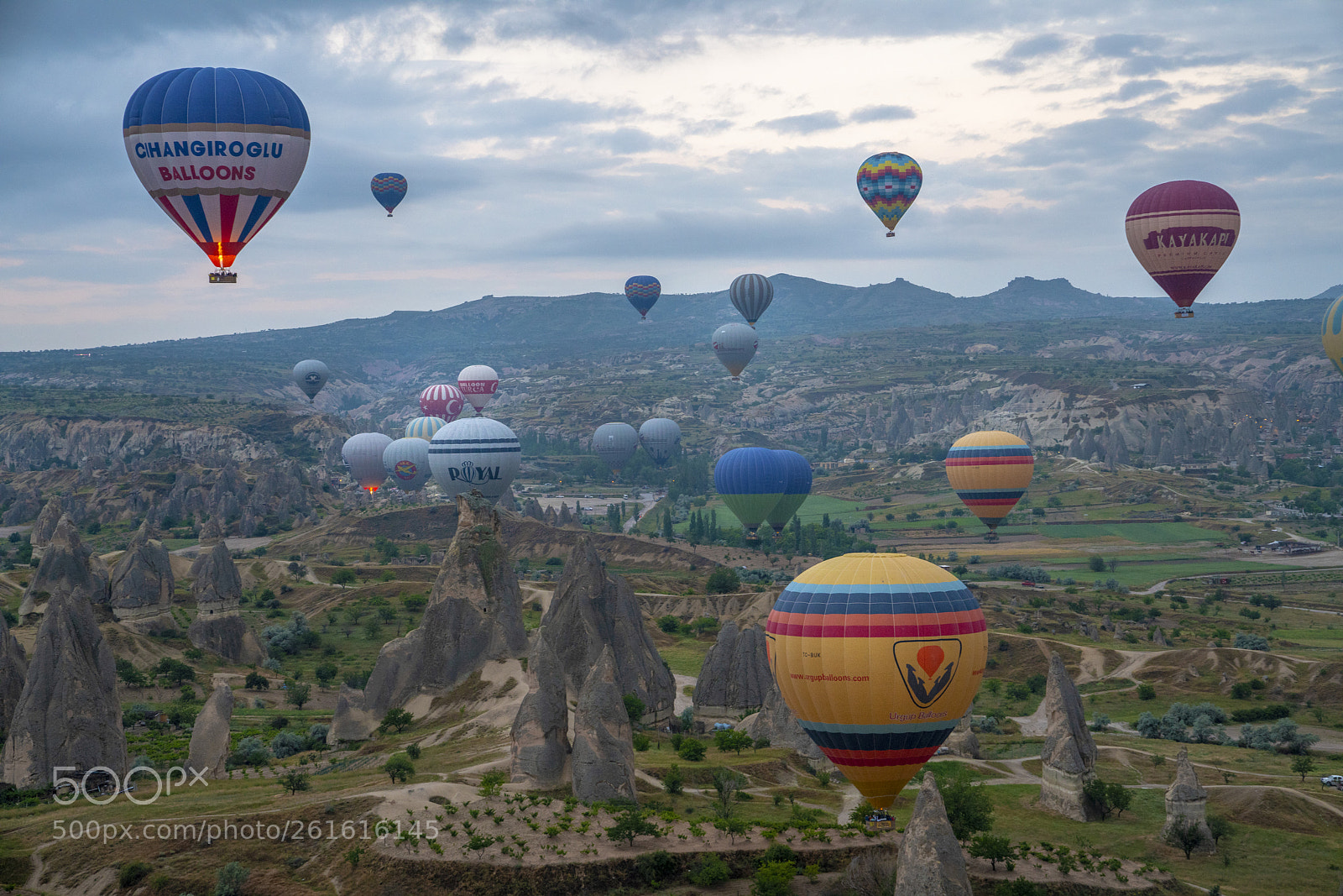 Sony a7R III sample photo. Hot air balloons photography