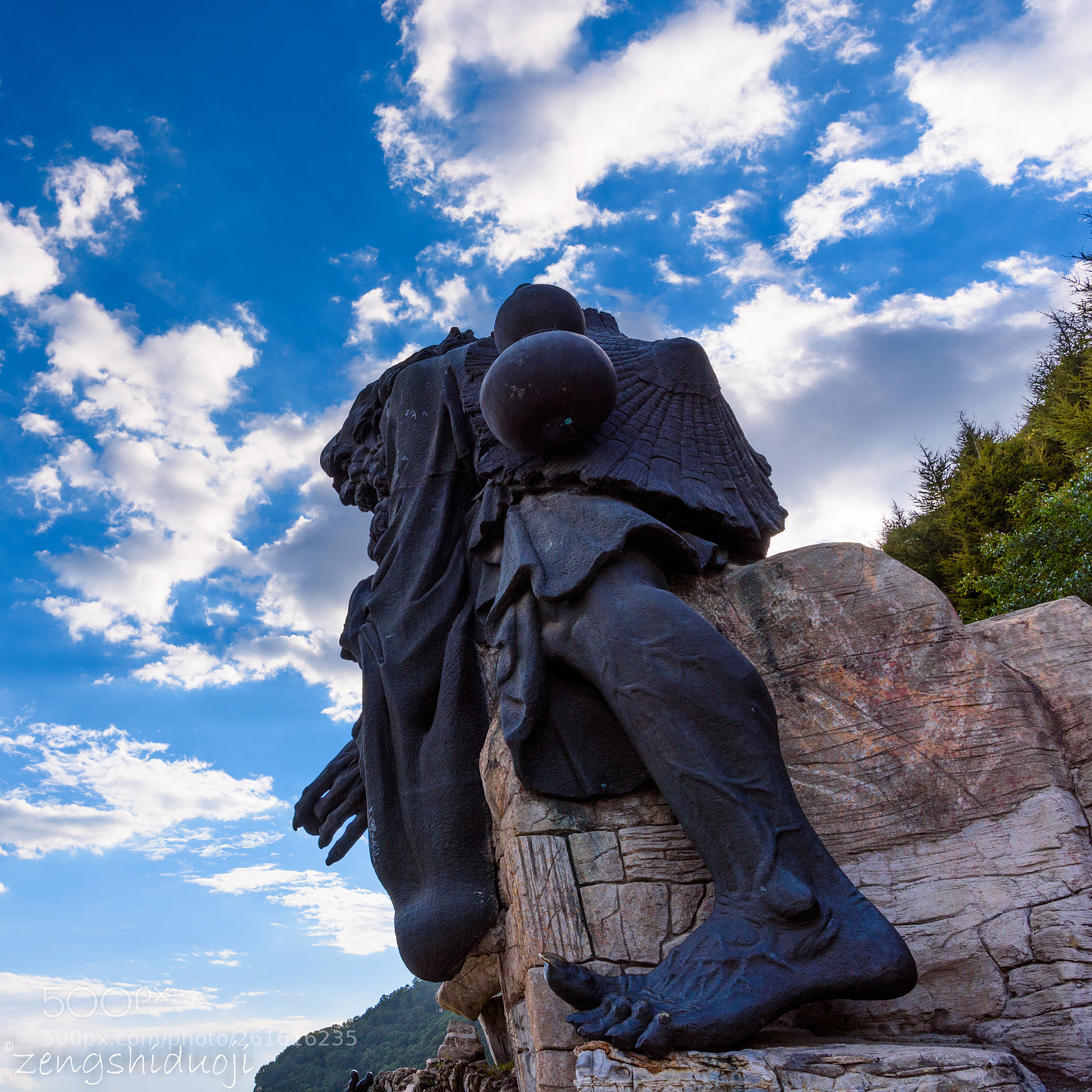 Nikon D750 sample photo. 仙人掌 photography