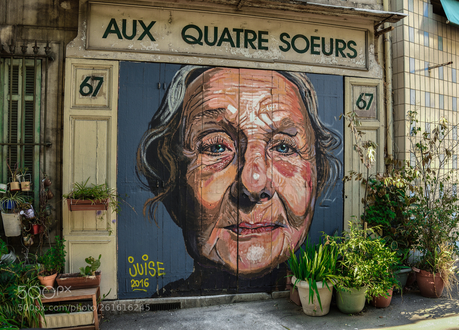 Nikon D5600 sample photo. Non loin des r photography