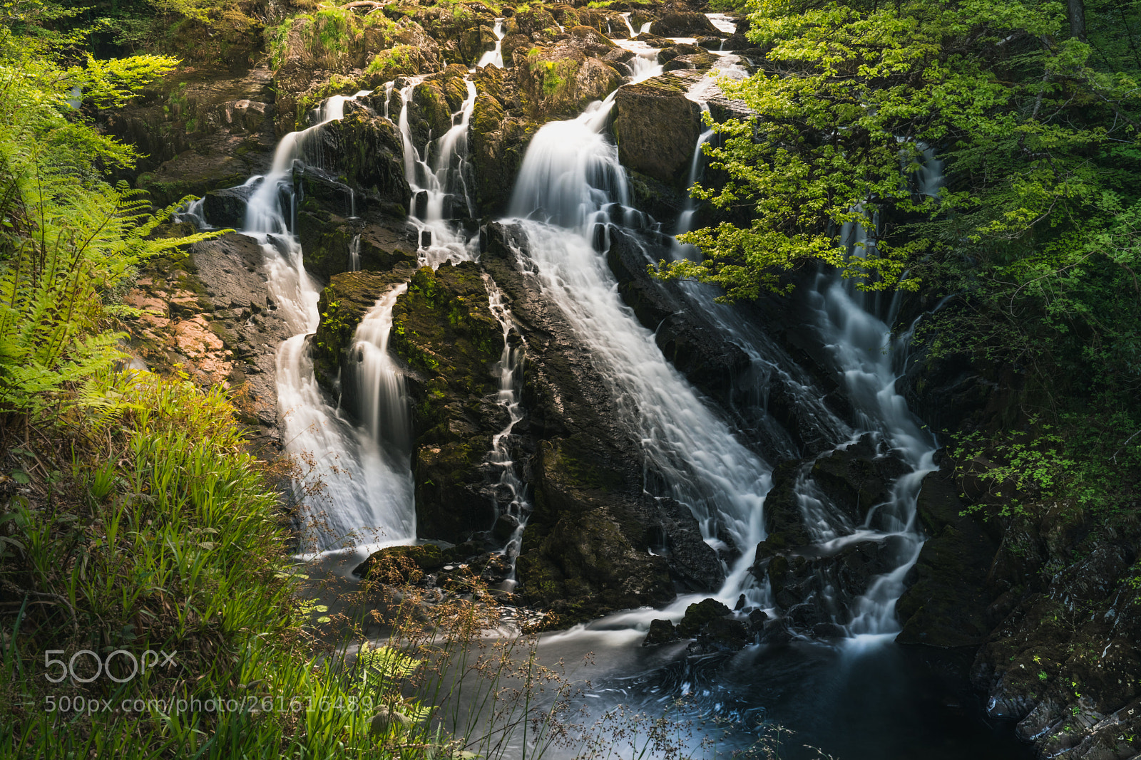 Sony a7R III sample photo. Swallow falls photography