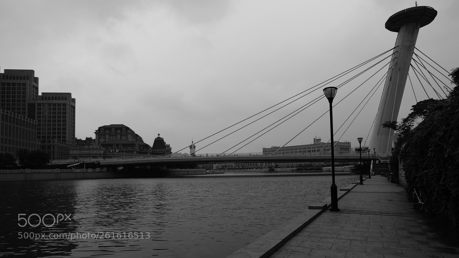 Fujifilm X-T20 sample photo. Stubborn like a stone photography