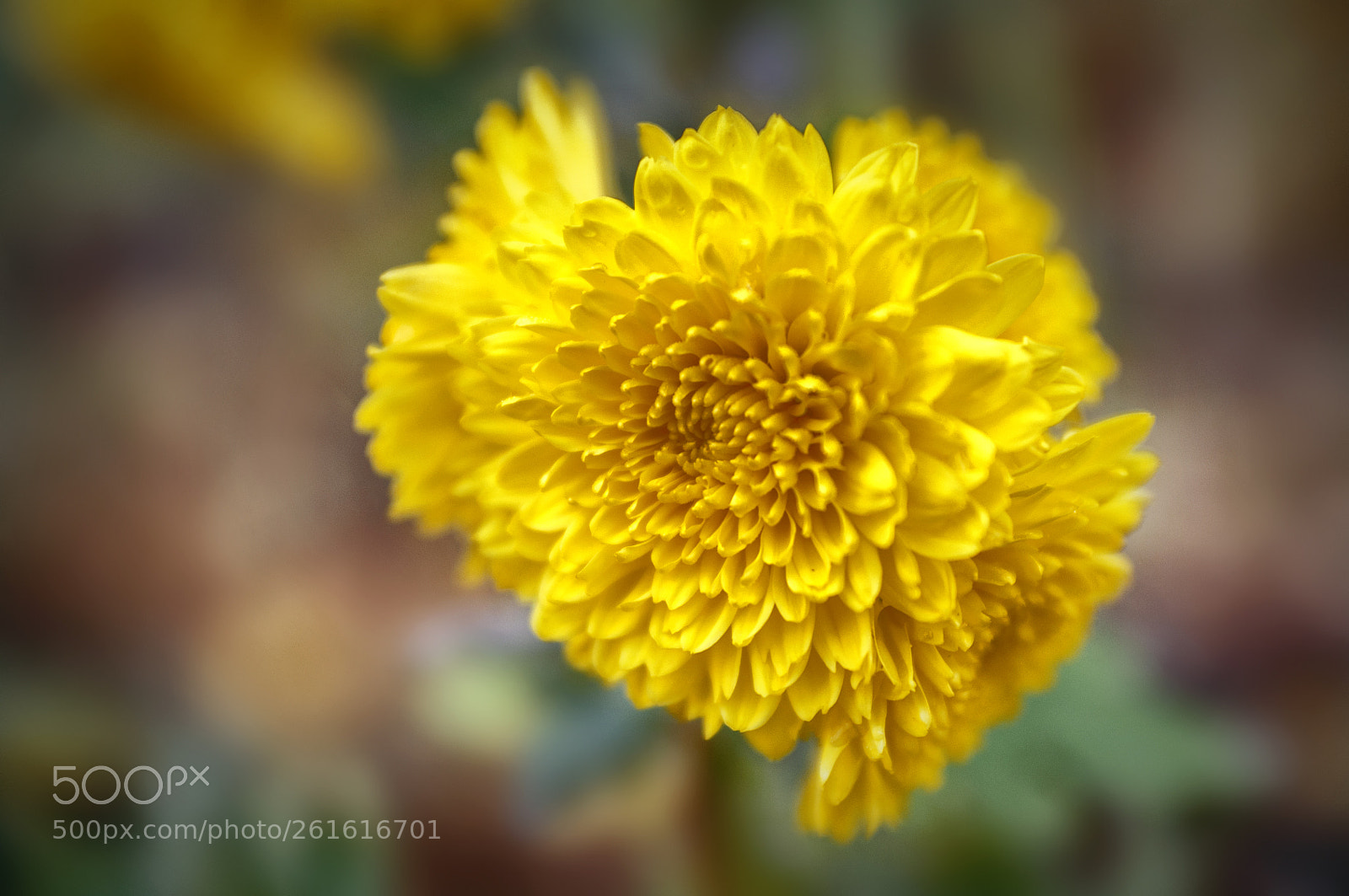 Nikon D90 sample photo. ... photography