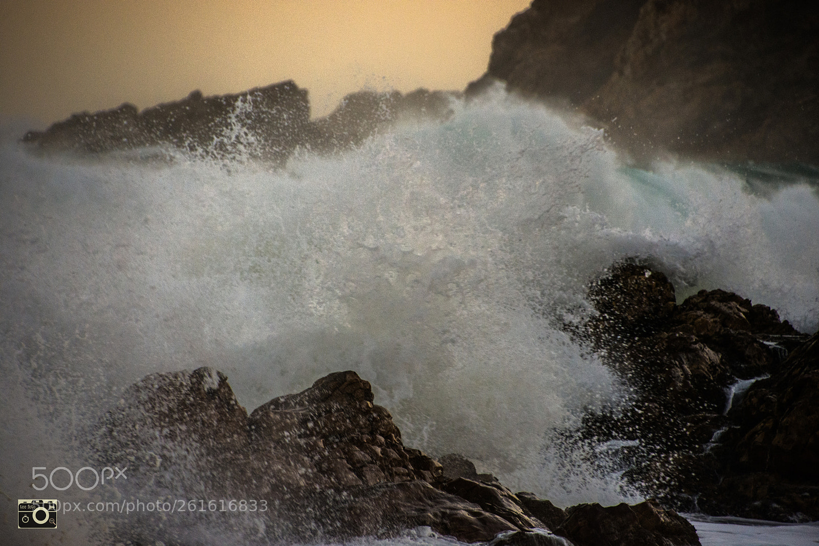 Nikon D7200 sample photo. Busted photography