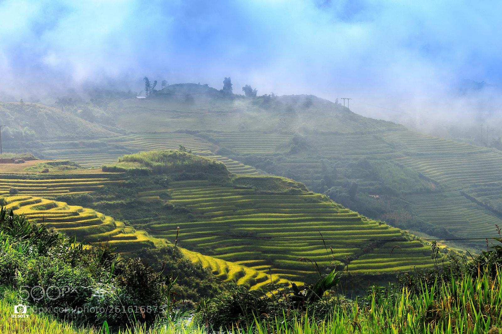 Canon EOS 700D (EOS Rebel T5i / EOS Kiss X7i) sample photo. Muong hum terraced fields photography