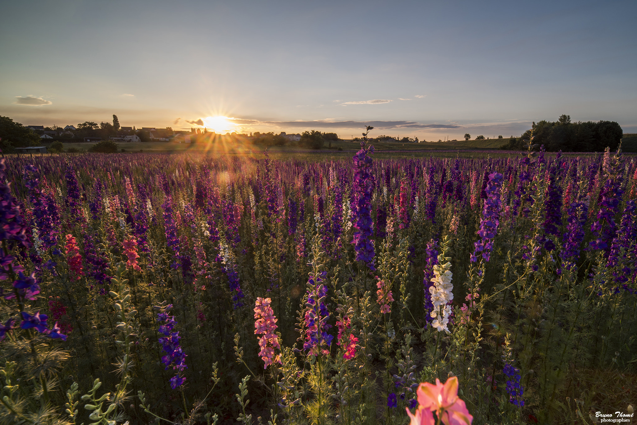 Pentax K-1 sample photo. Sunset photography