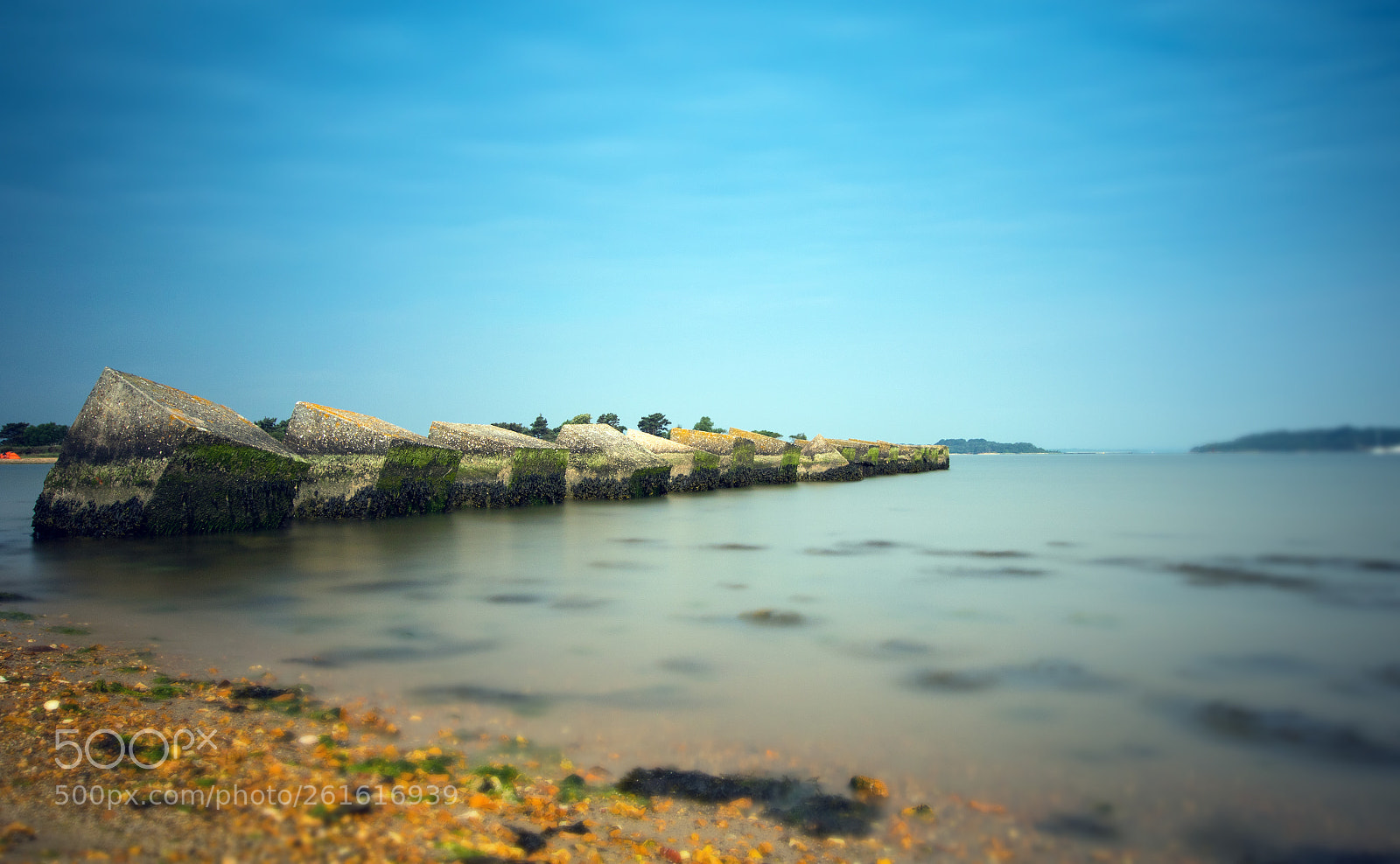 Canon EOS 7D Mark II sample photo. Dragons teeth, bramble bush photography
