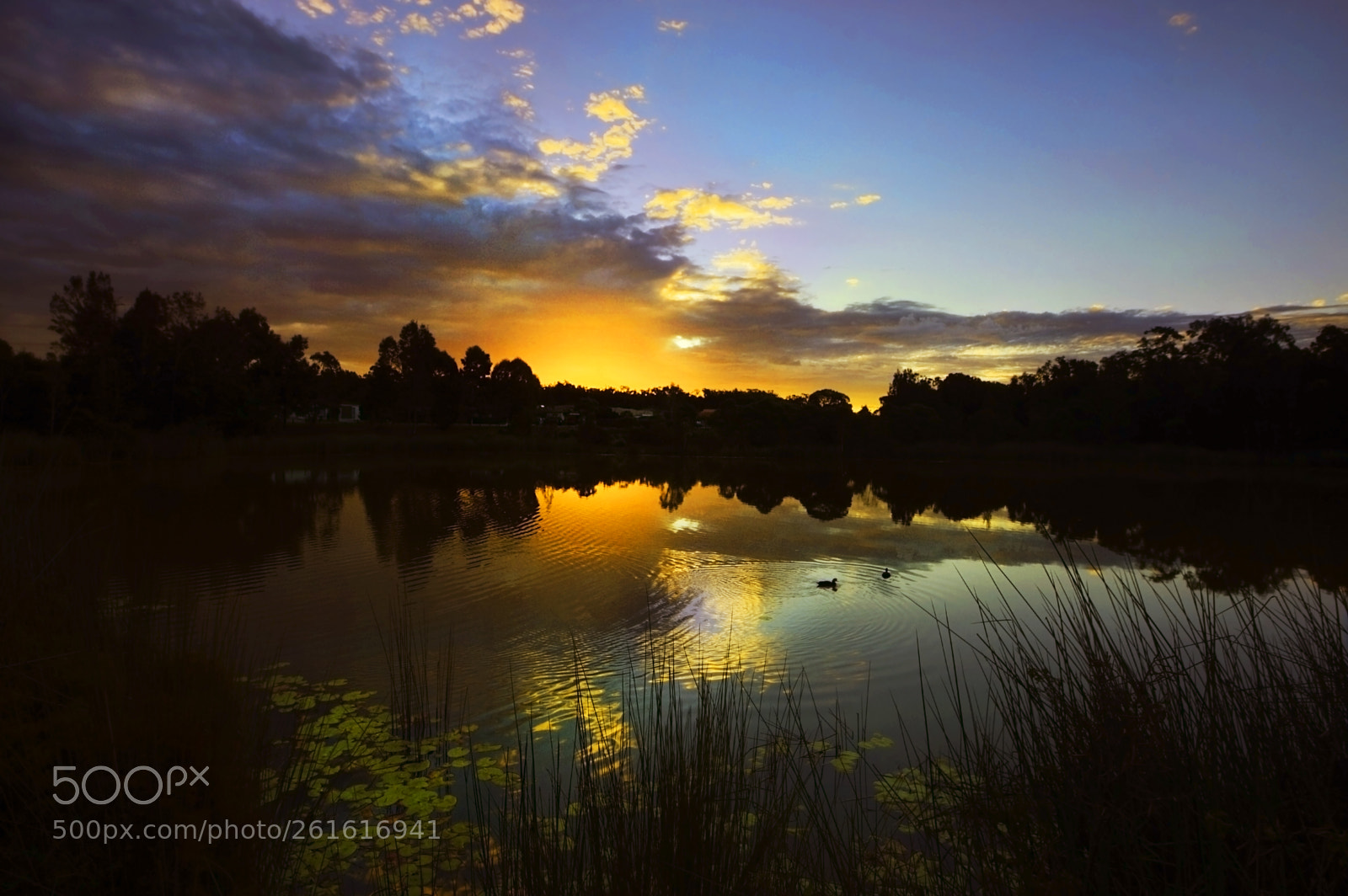 Nikon D3200 sample photo. Wetlands sunset photography
