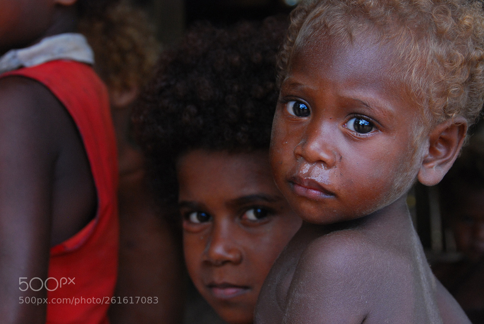 Nikon D80 sample photo. Galloping horse ridge, honiara. photography