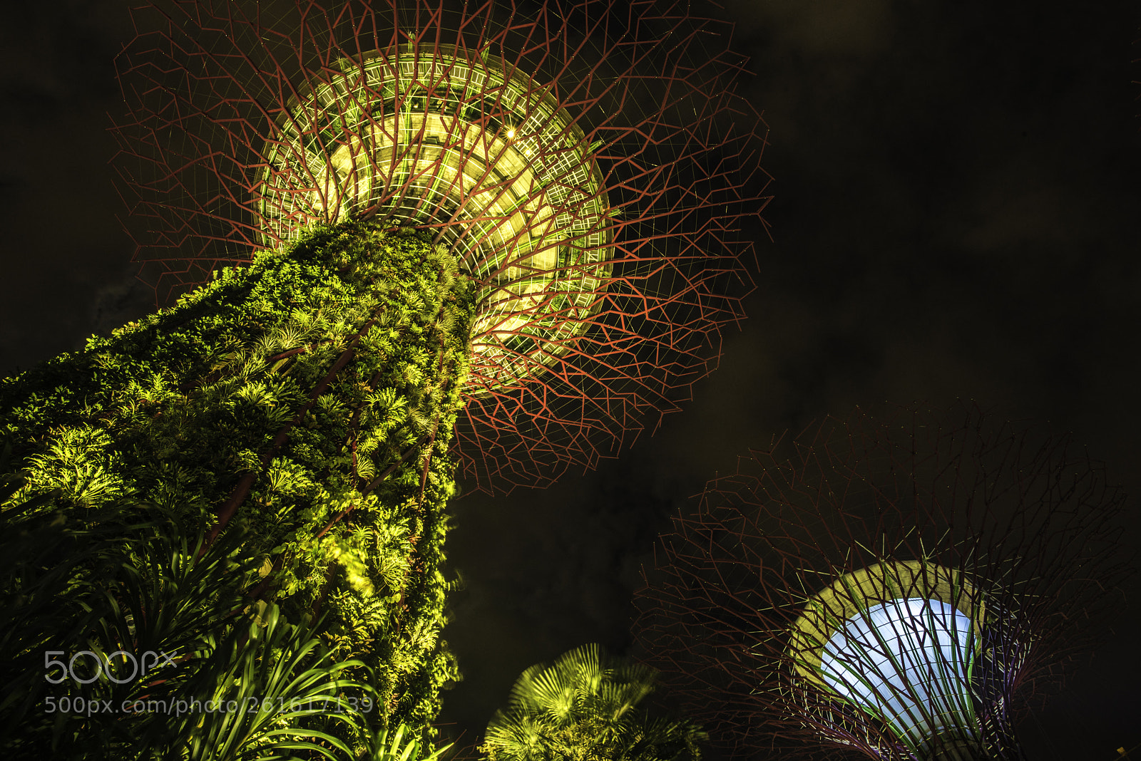 Nikon D750 sample photo. Supertree grove by gardens photography