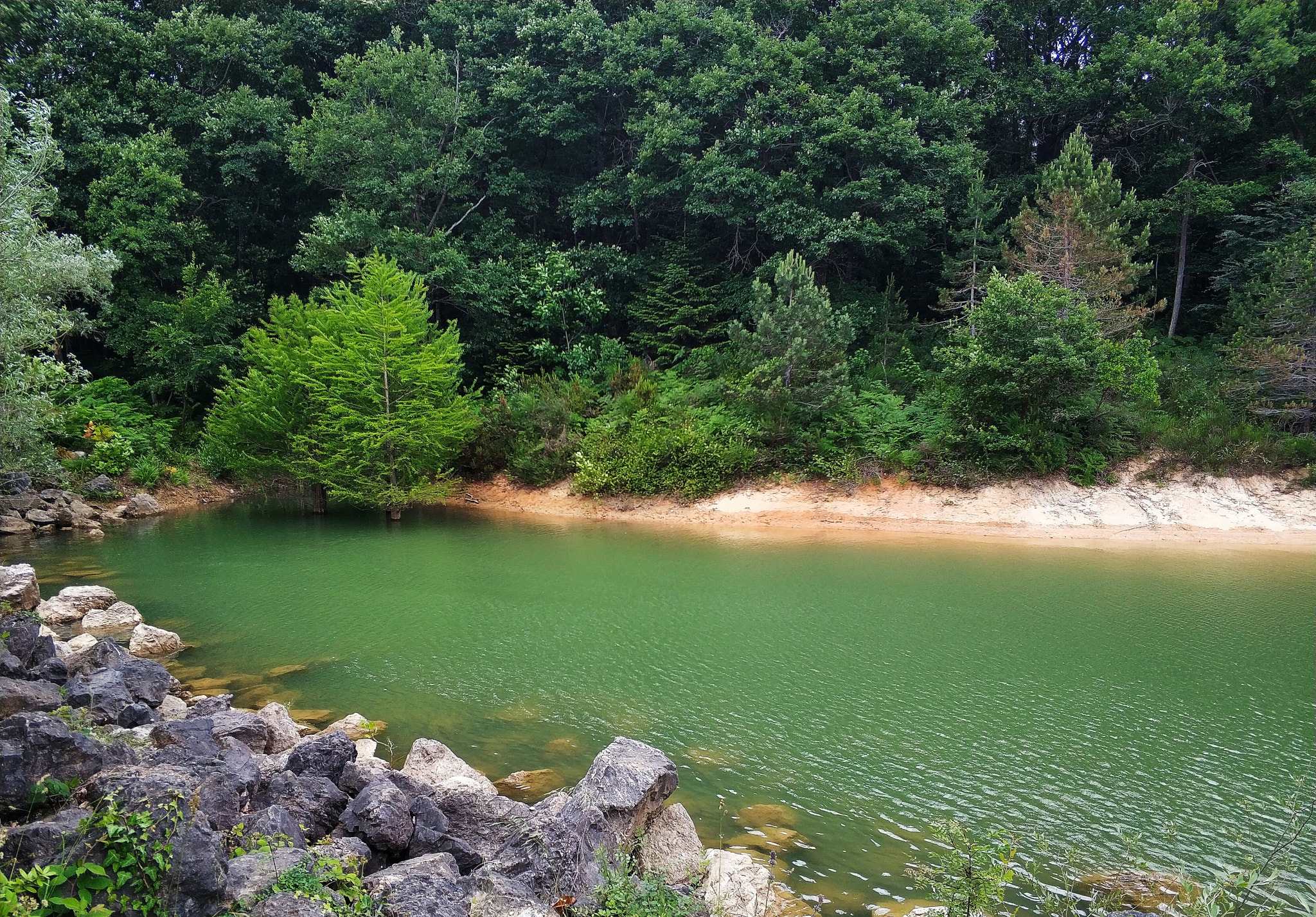 Xiaomi Mi Note 3 sample photo. Lake and tree photography