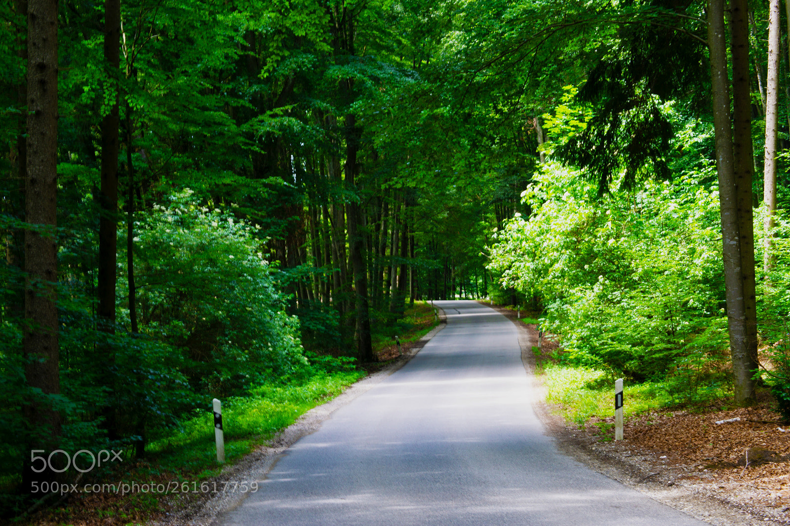 Sony a6000 sample photo. Von feldafing nach wieling photography