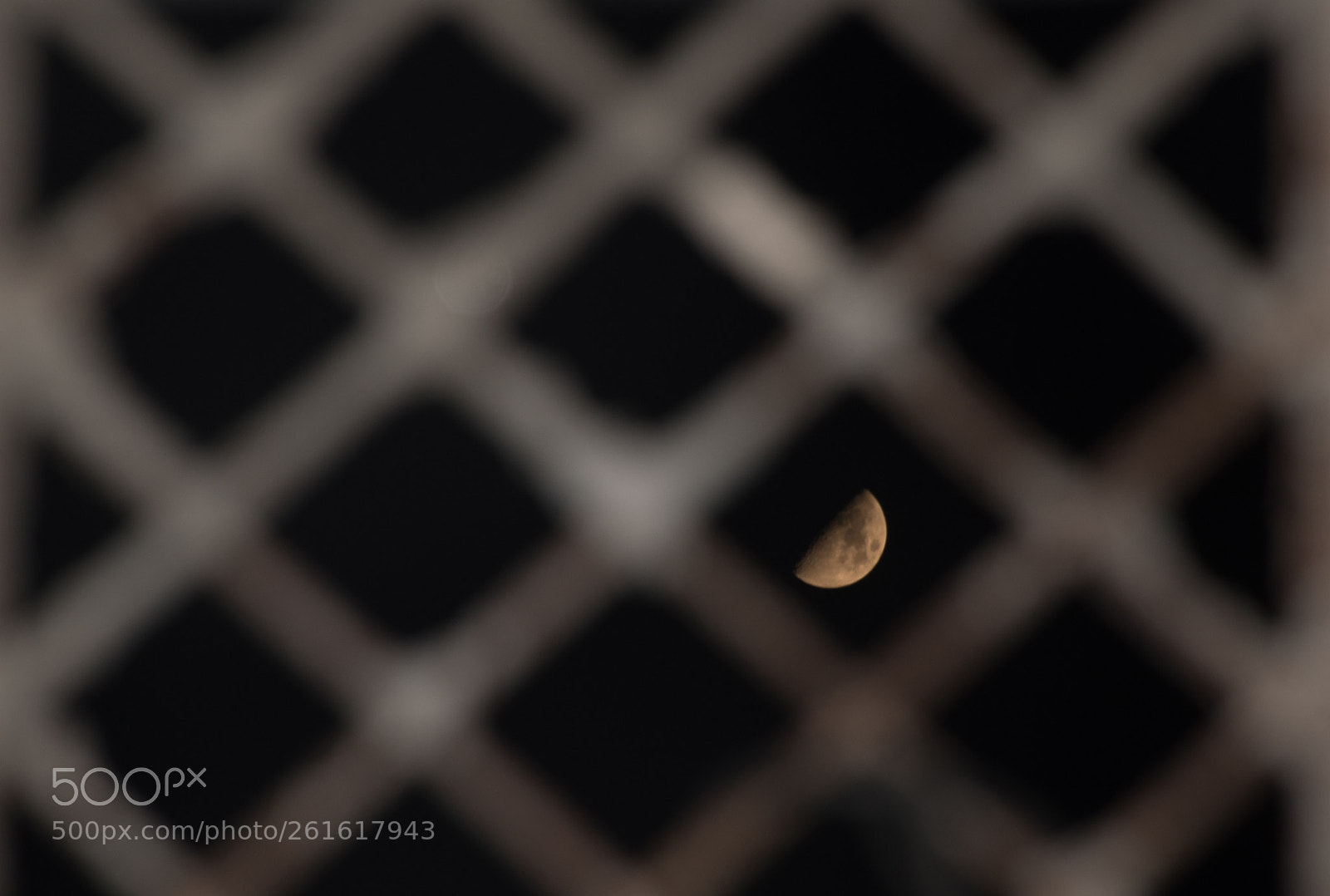 Nikon D5500 sample photo. Moon photography