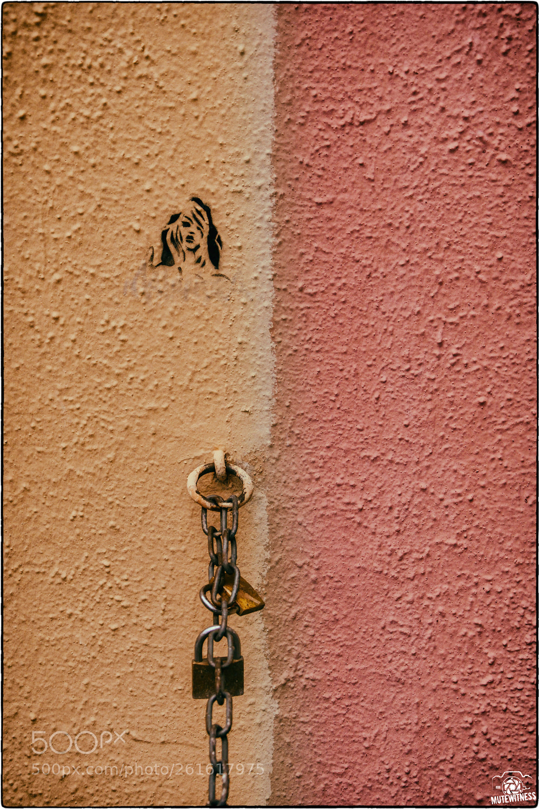 Nikon D5600 sample photo. Secret girl photography