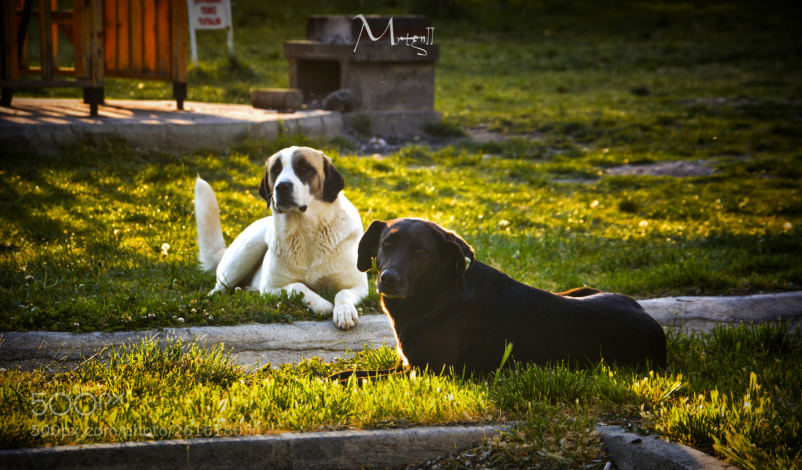 Nikon D7100 sample photo. Siyah-beyaz candır! ;) photography