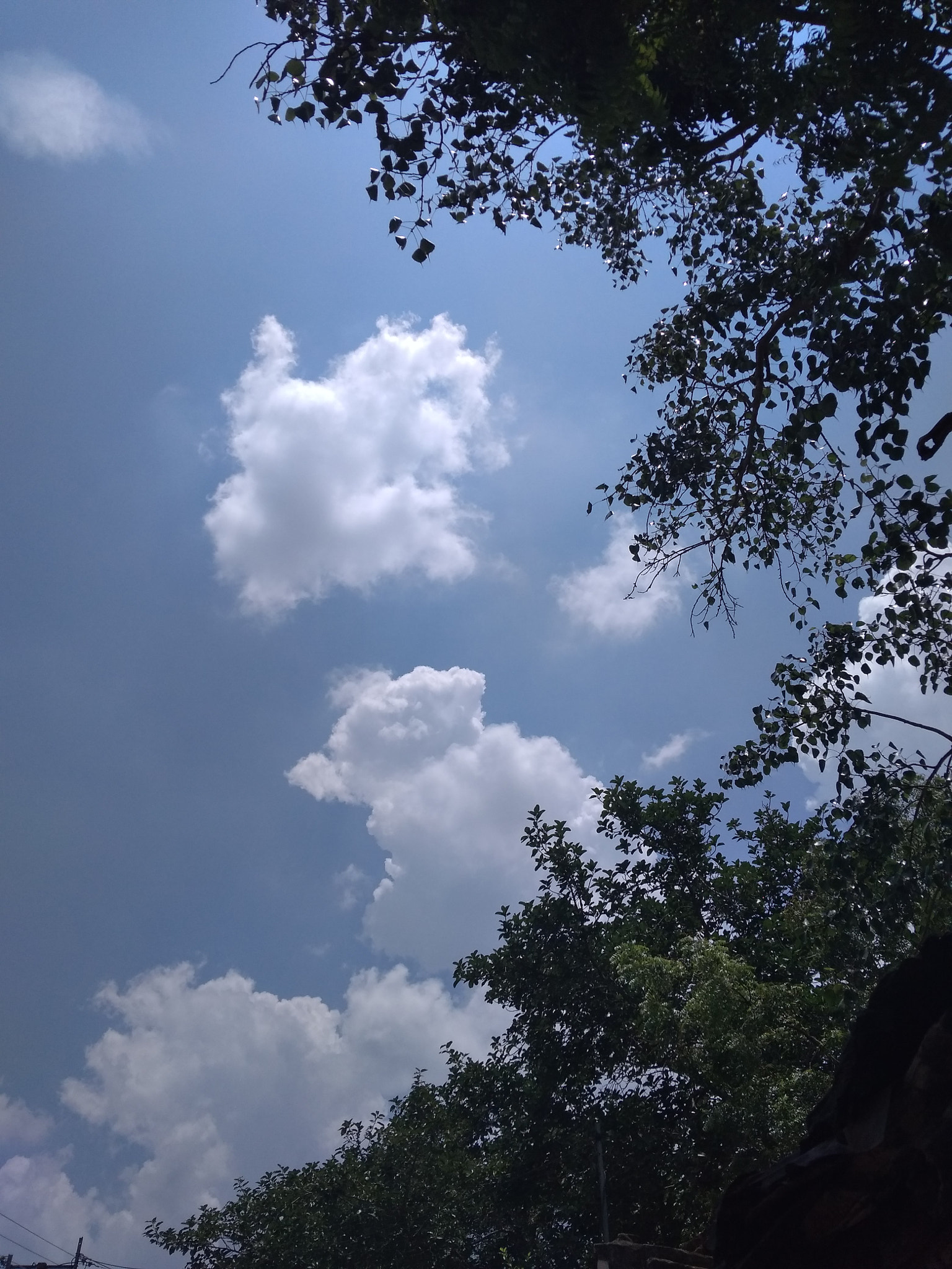 Xiaomi Redmi 4A sample photo