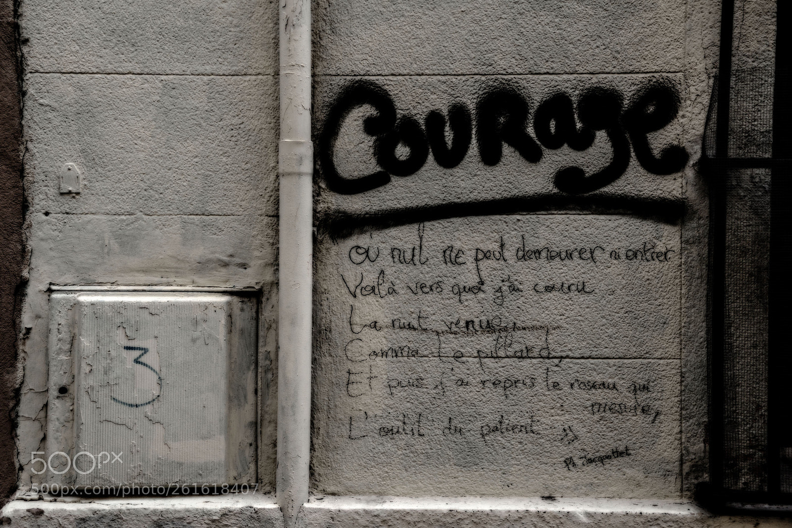 Nikon D5600 sample photo. Street poetry photography