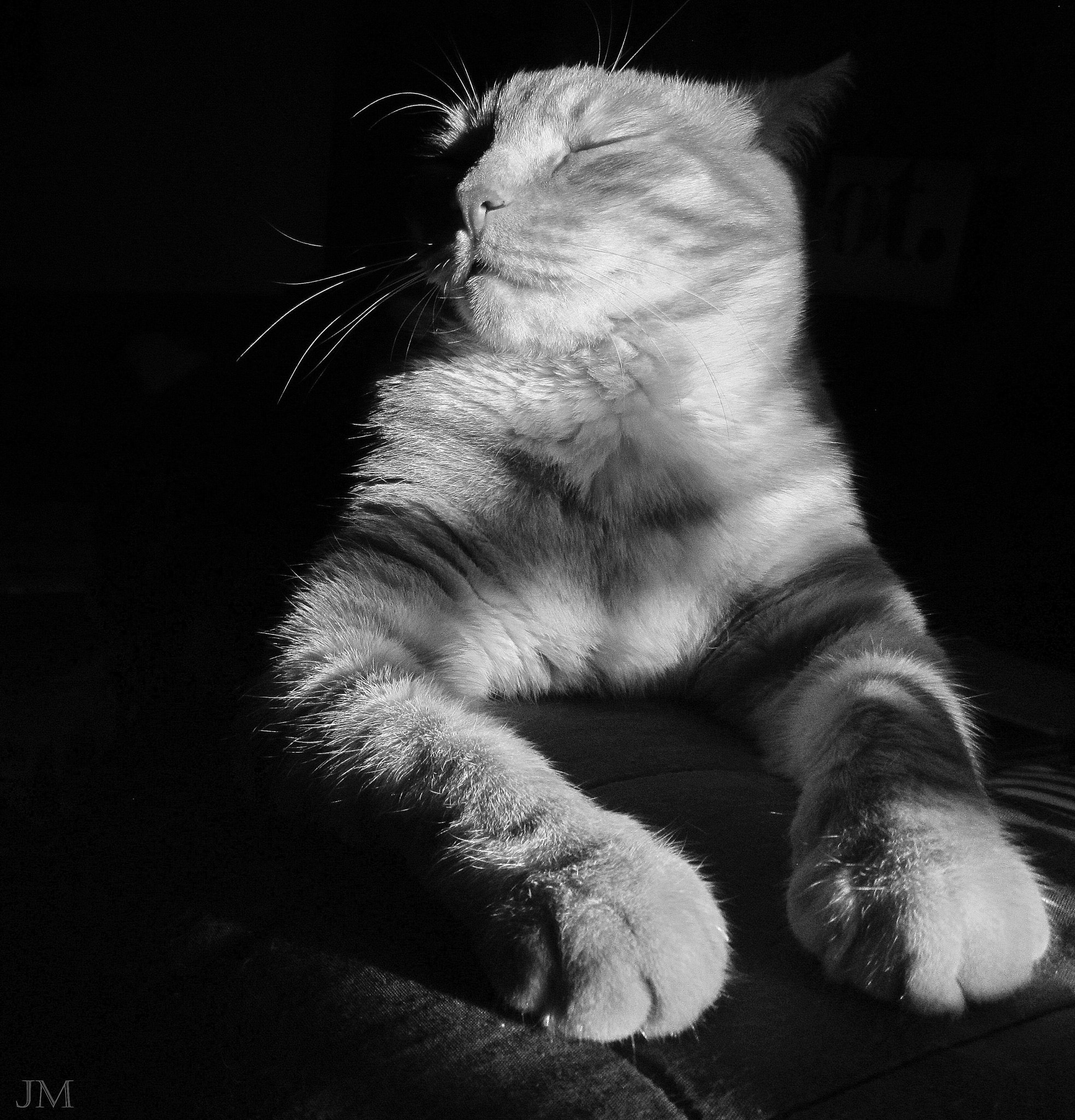 Canon POWERSHOT A3350 IS sample photo. Sphinxcat ii photography
