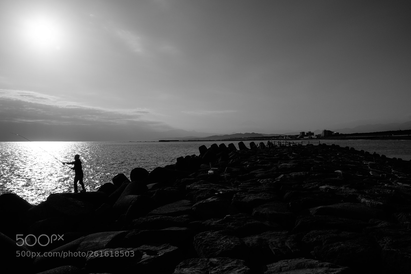 Fujifilm X-T1 sample photo. Pole photography