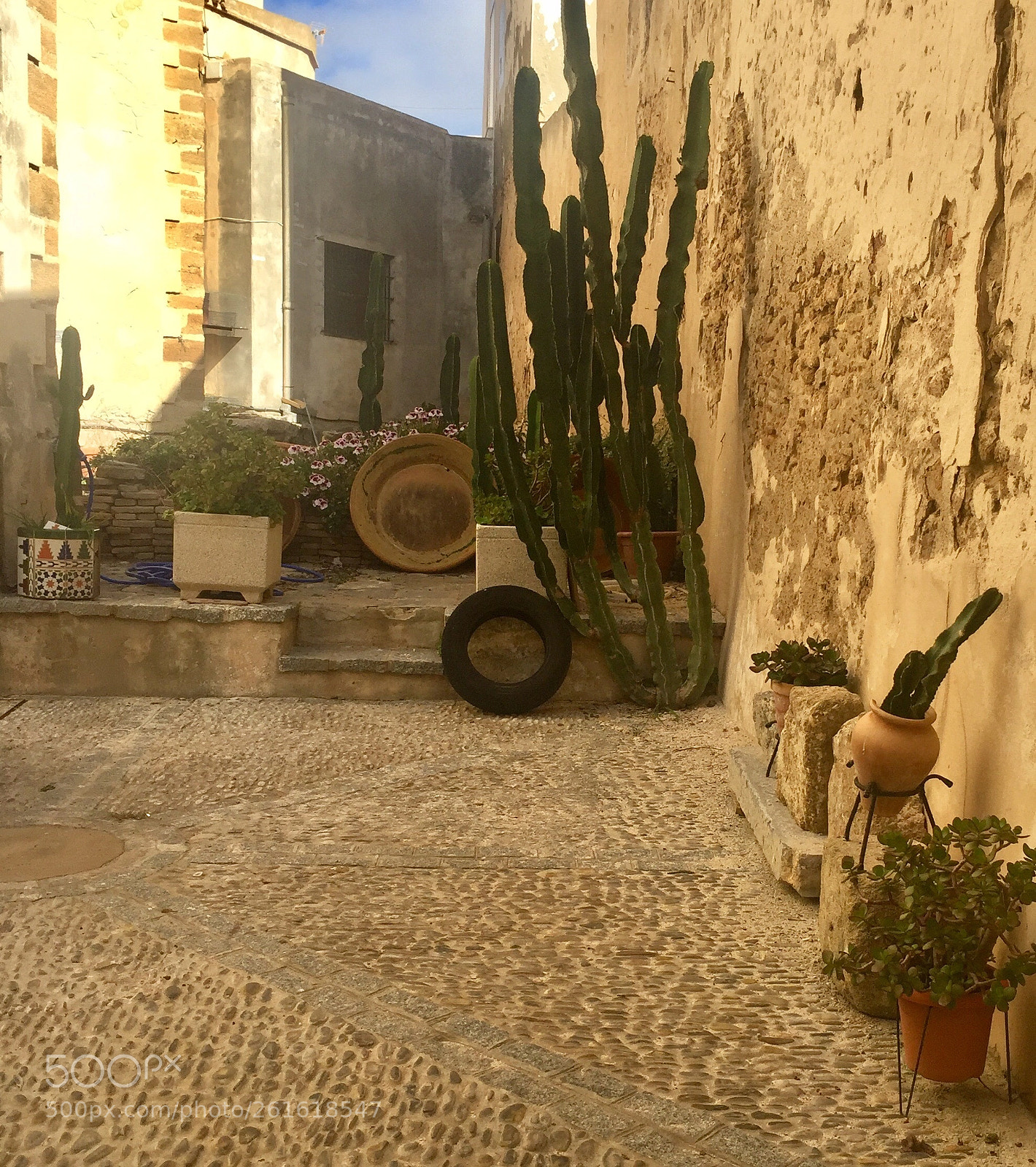Apple iPhone 6 sample photo. Un rinc n en photography
