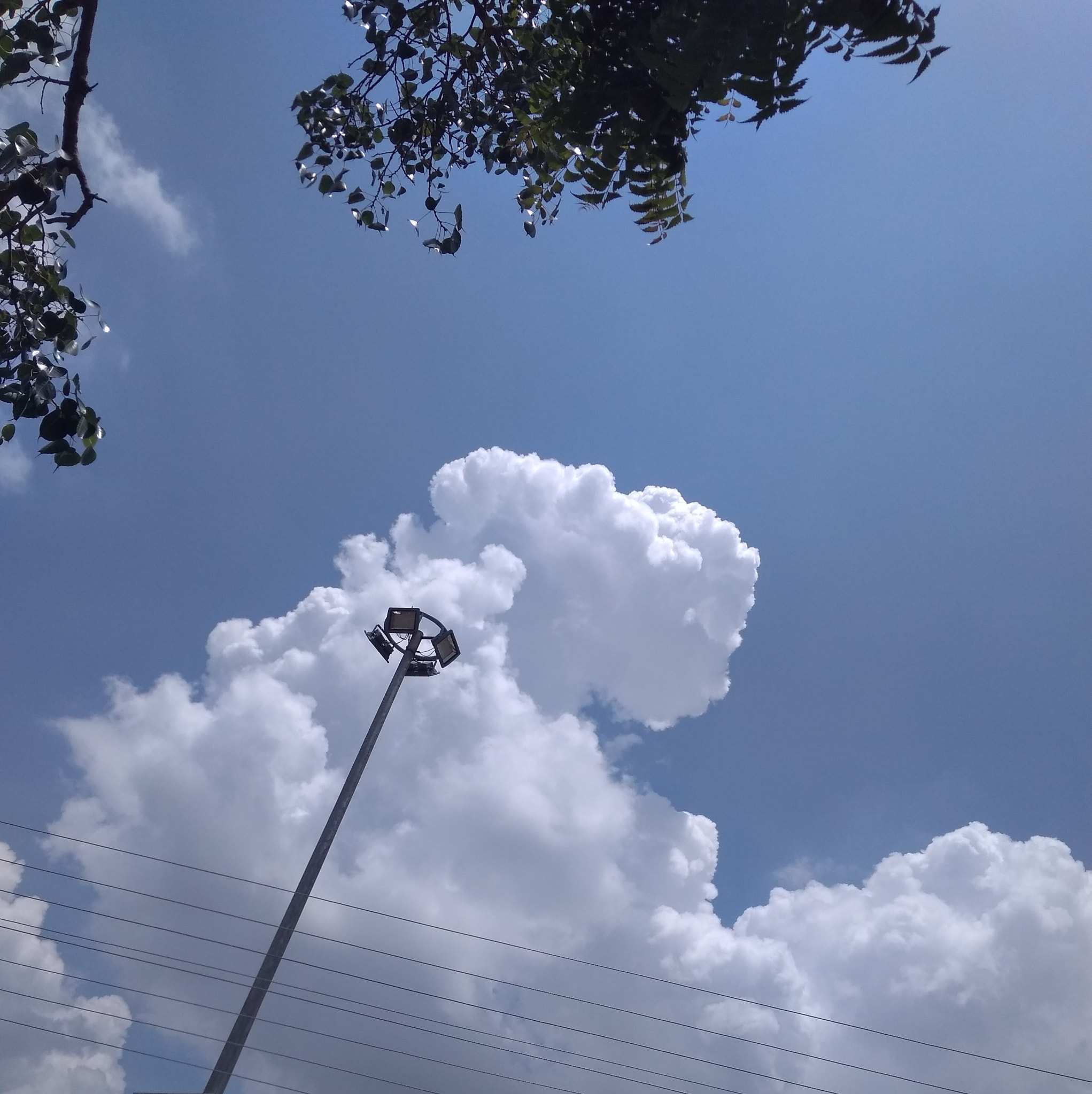 Xiaomi Redmi 4A sample photo