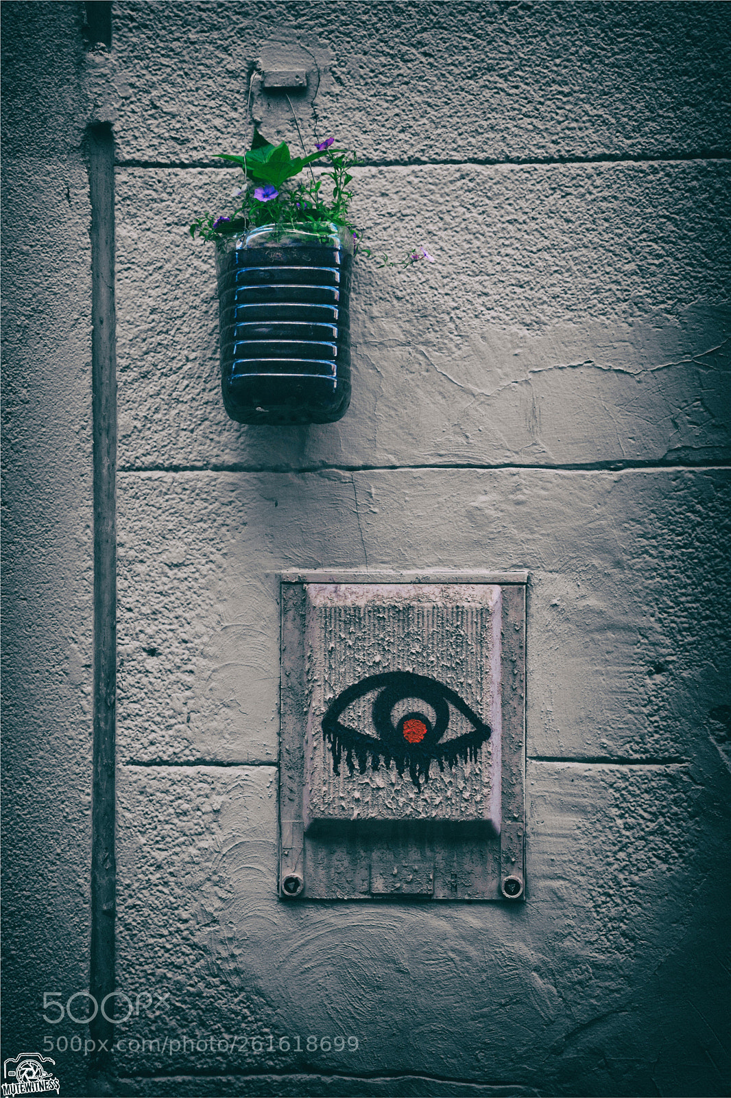Nikon D5600 sample photo. Urban bush photography