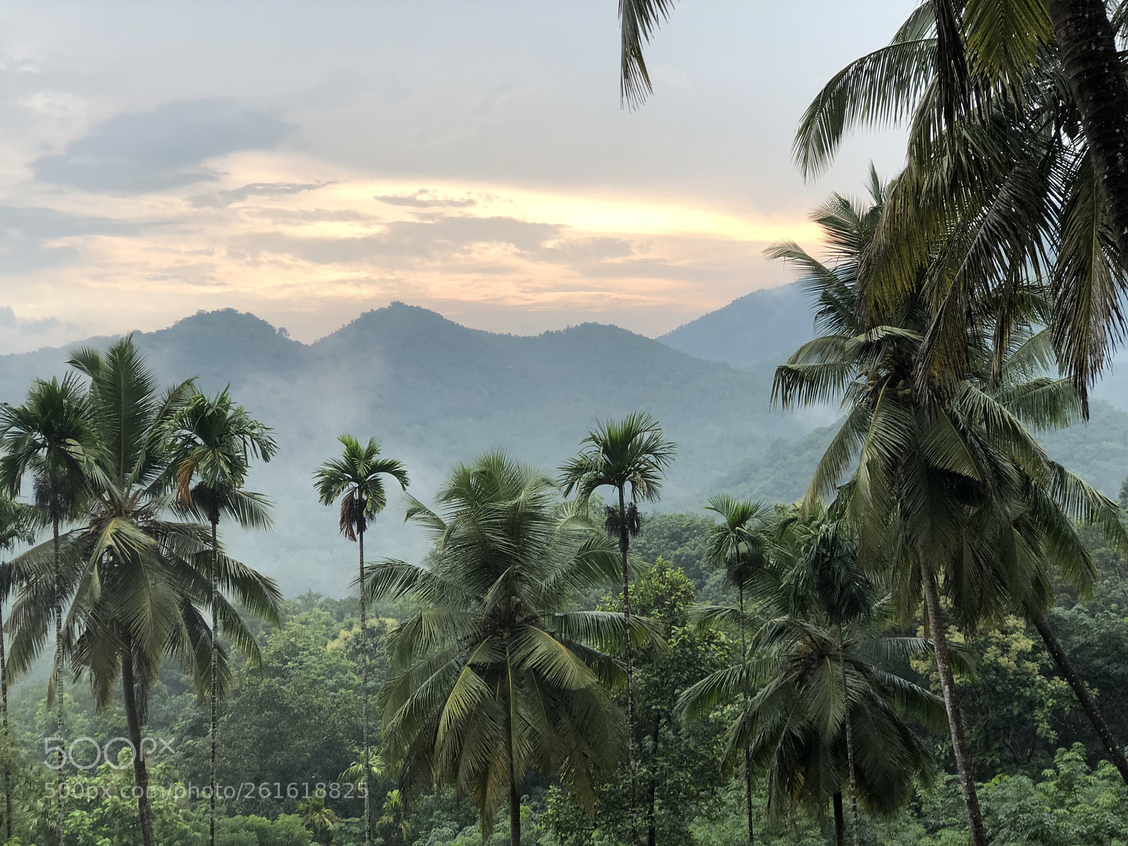 Apple iPhone 8 Plus sample photo. God's own country : kerala photography