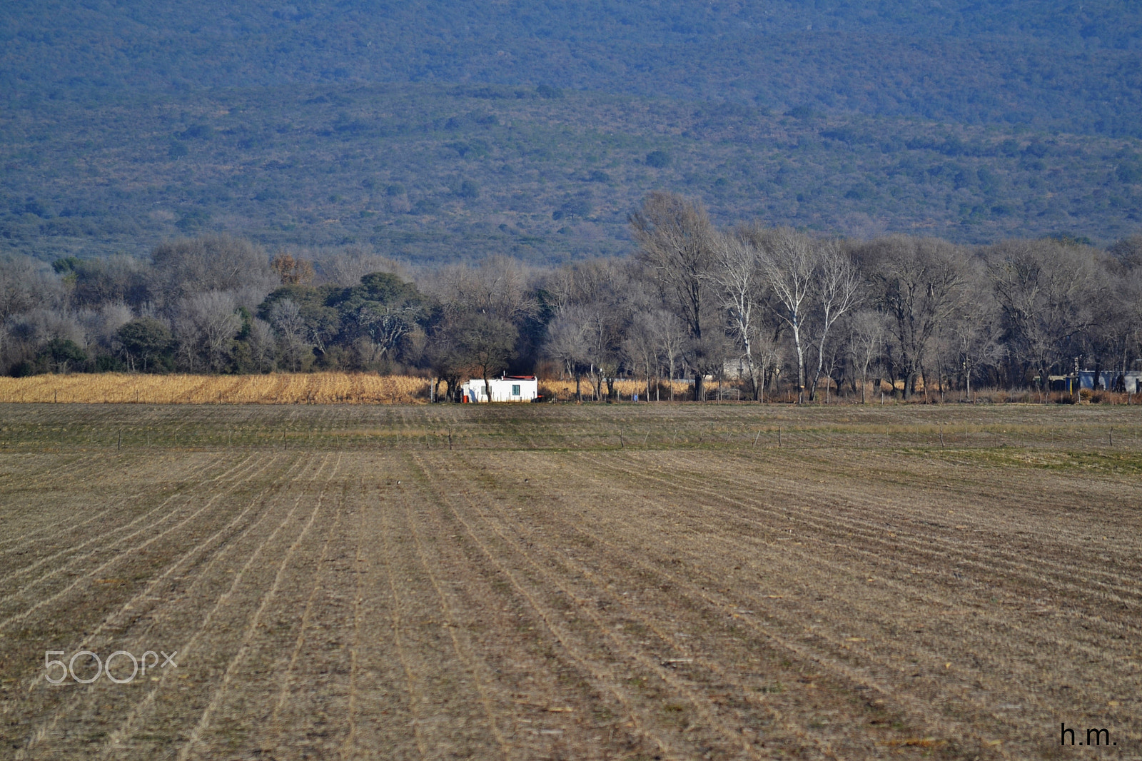 Nikon D3100 sample photo. Casa de campo photography