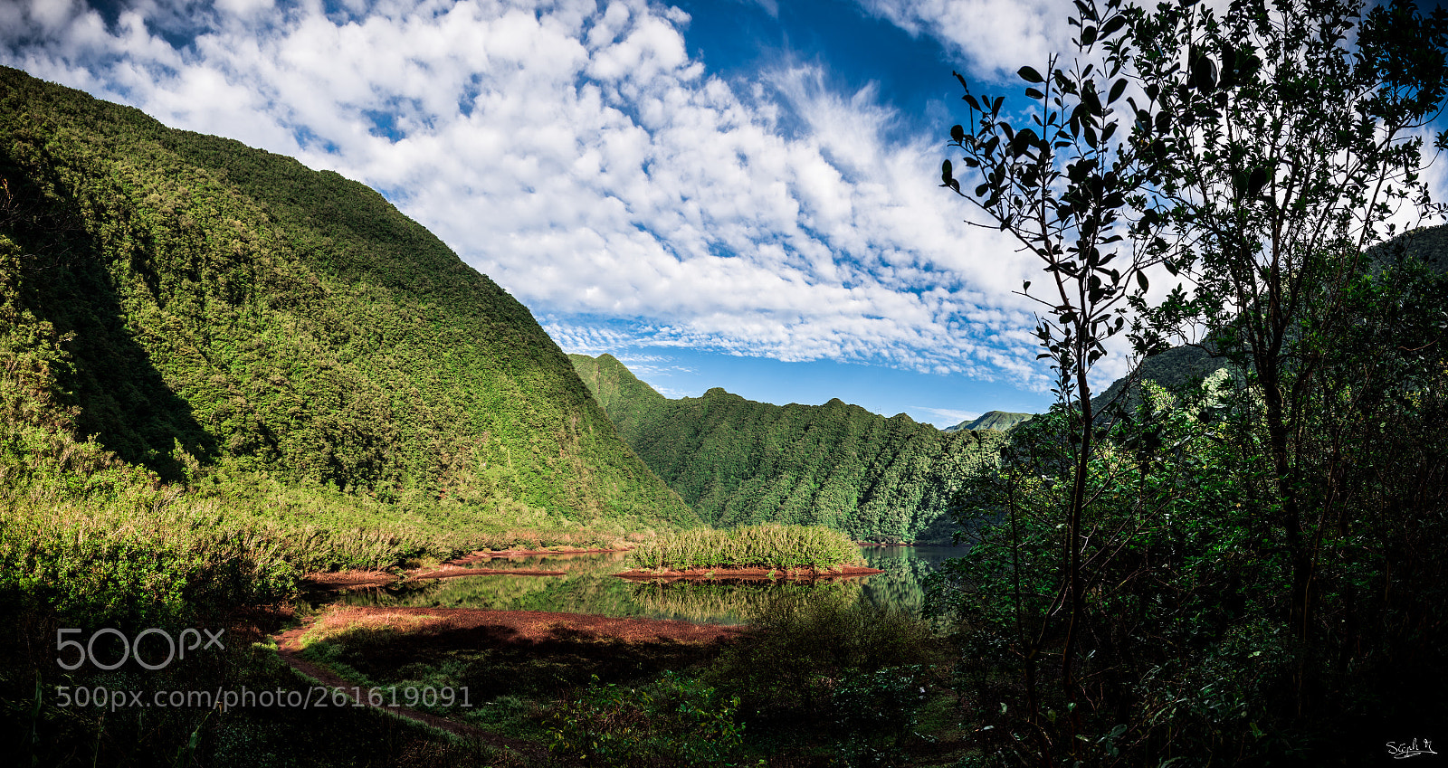 Nikon D7200 sample photo. Grandetang photography