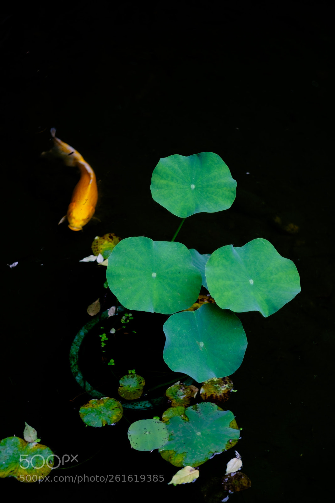 Fujifilm X-T1 sample photo. Untitled photography
