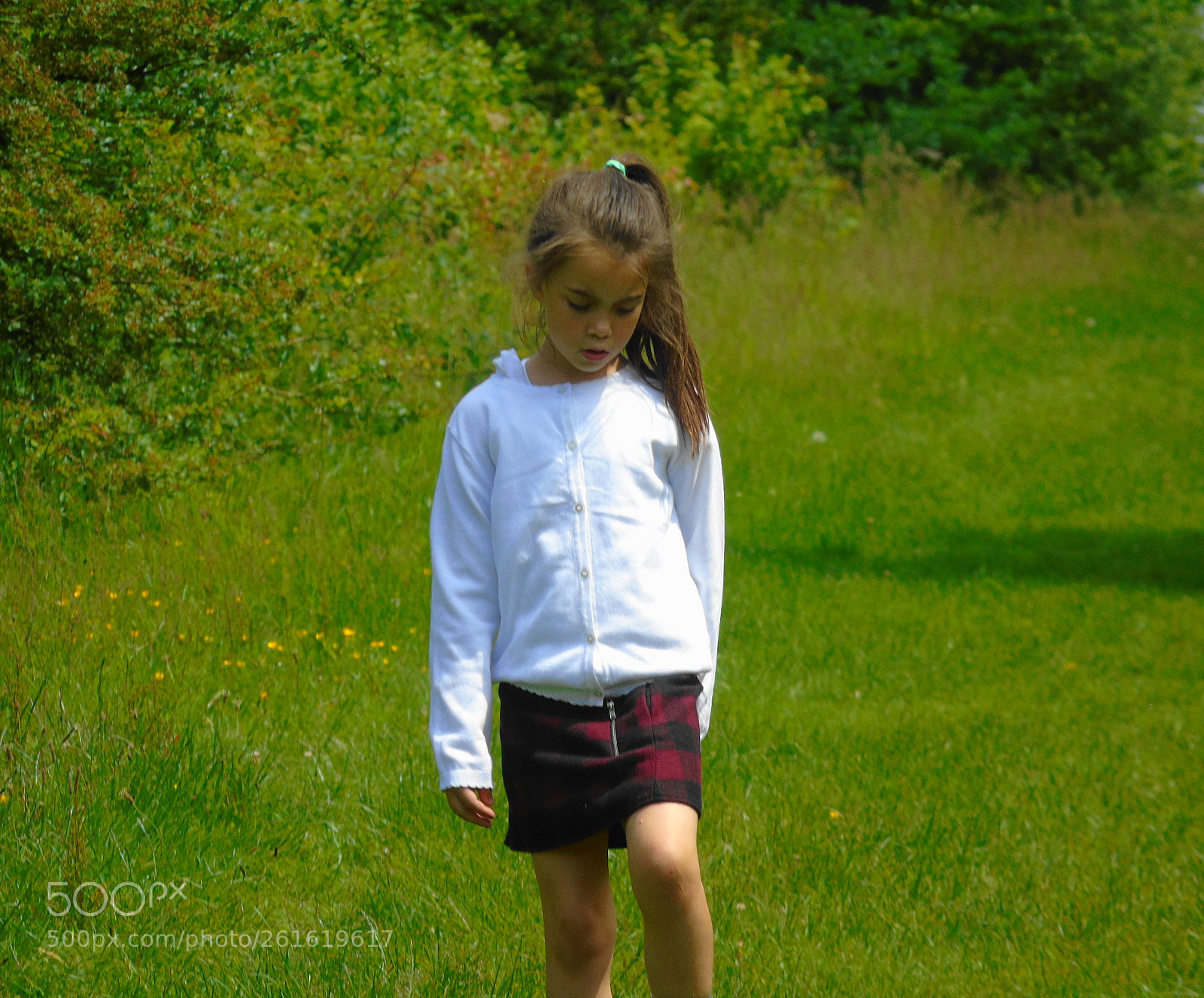Sony Cyber-shot DSC-H400 sample photo. Deep in thought on photography