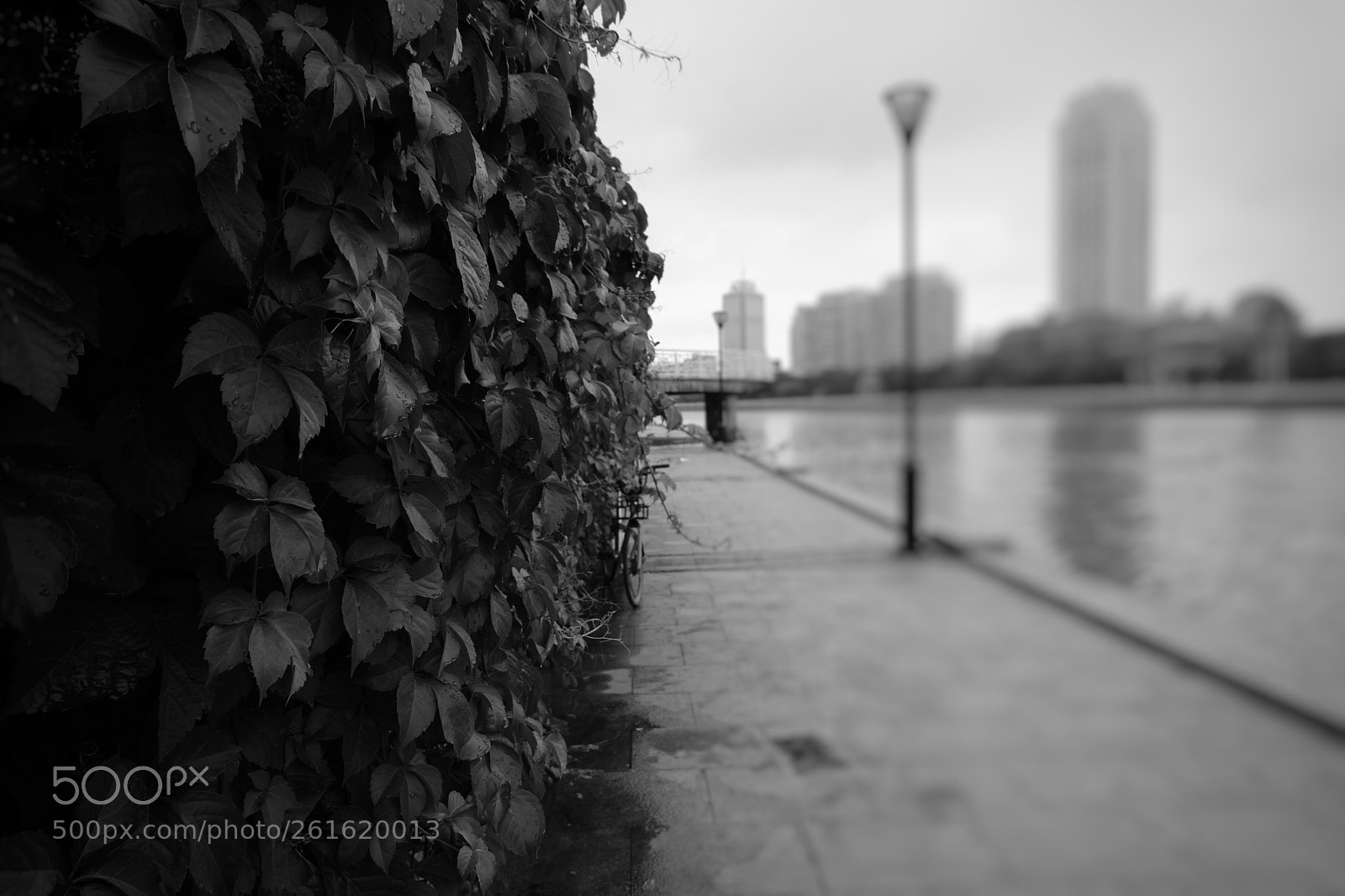 Fujifilm X-T20 sample photo. Stubborn like a stone photography