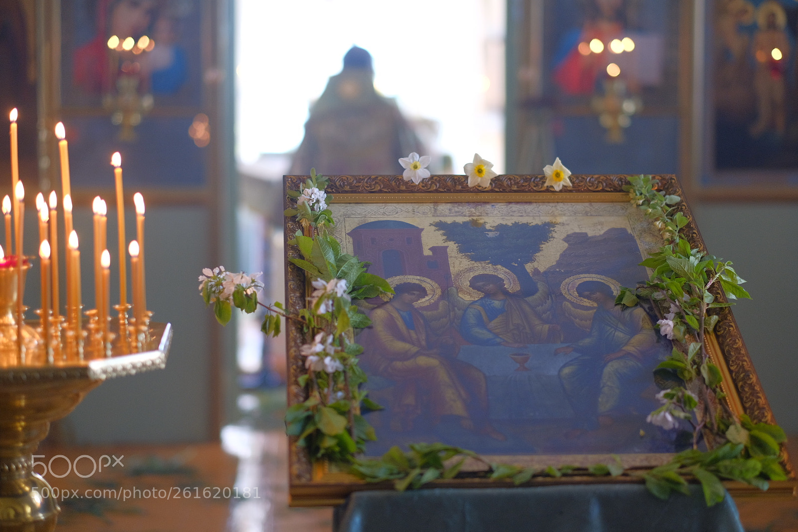 Fujifilm X-T20 sample photo. 2018-01-27 16.12.22.jpg photography