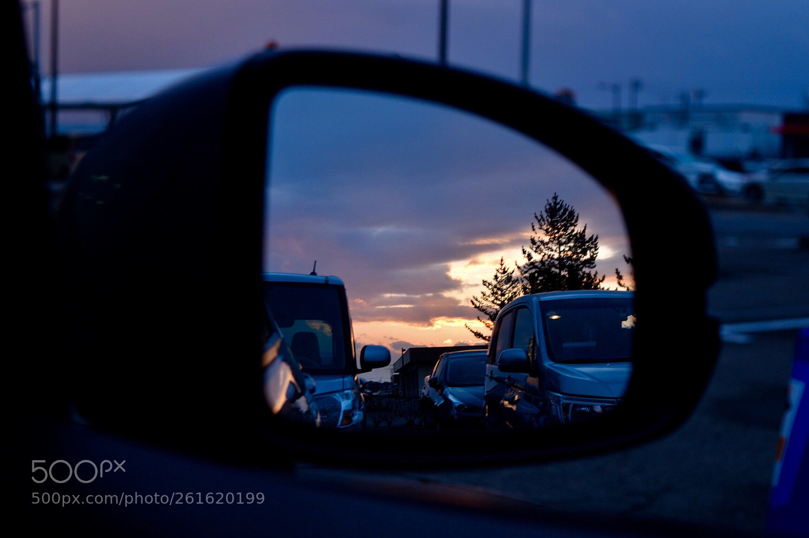 Nikon D5500 sample photo. Untitled photography