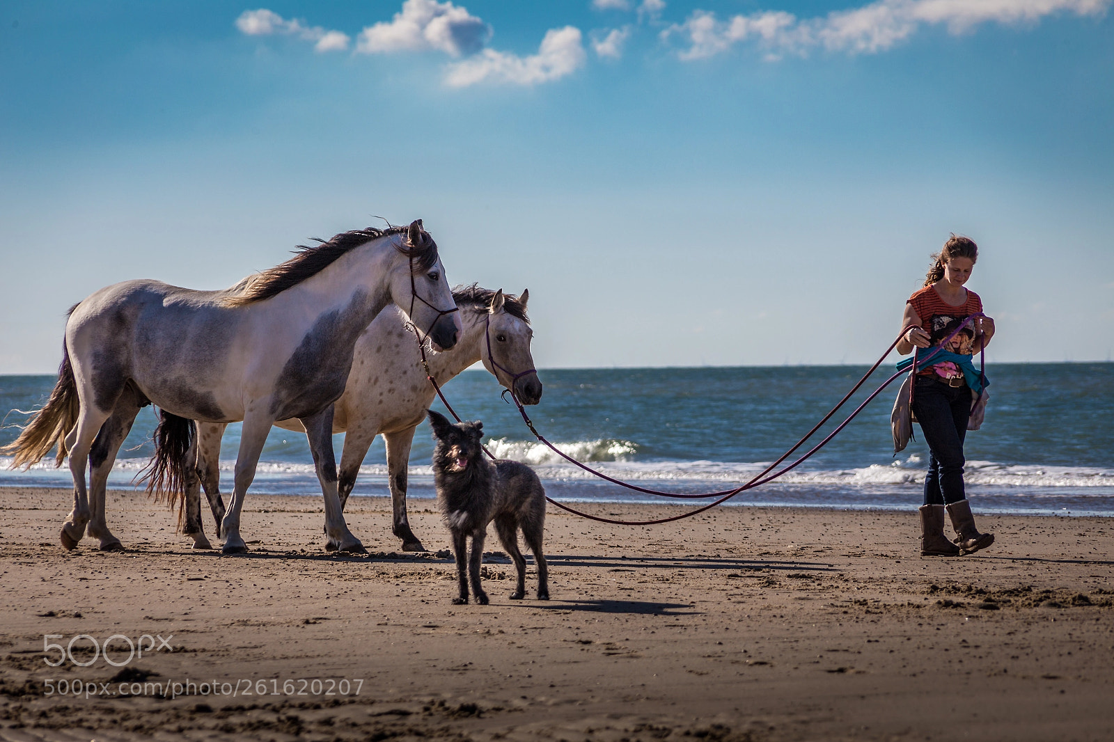 Canon EOS 6D sample photo. An der leine... photography