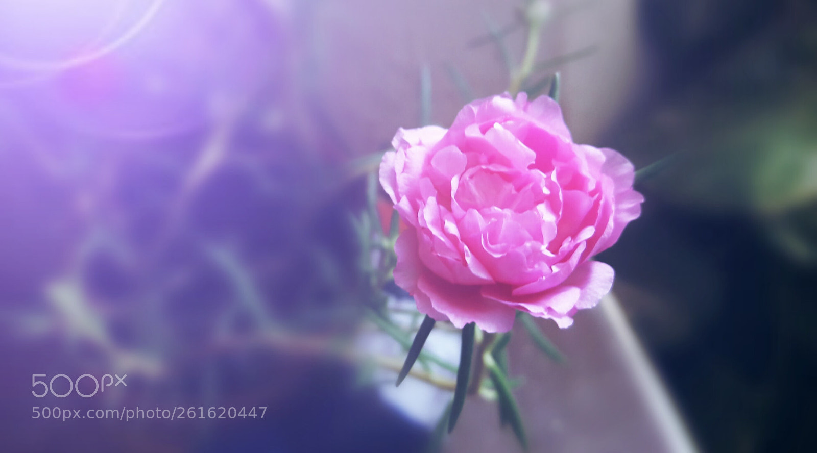Samsung Galaxy J7 sample photo. Untitled photography