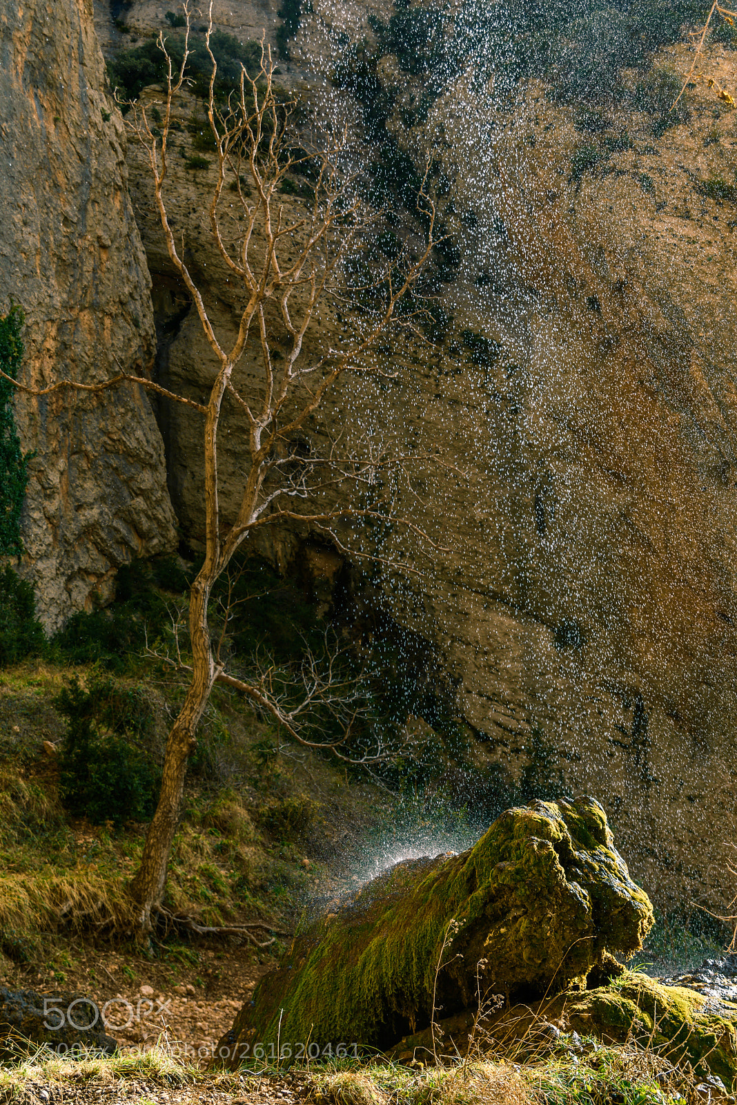 Nikon D750 sample photo. Cascada en san mart photography