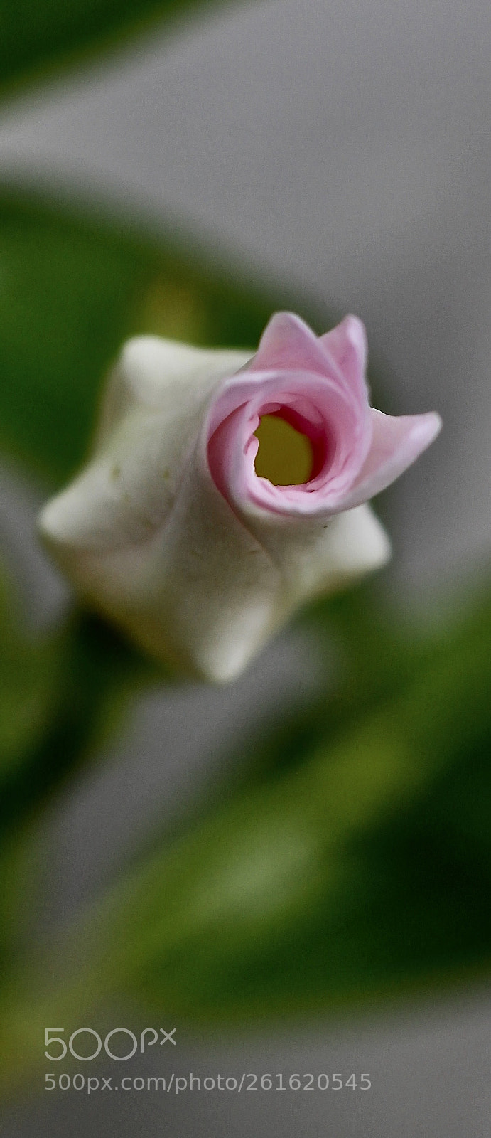 Canon EOS 700D (EOS Rebel T5i / EOS Kiss X7i) sample photo. 3..2..1! photography