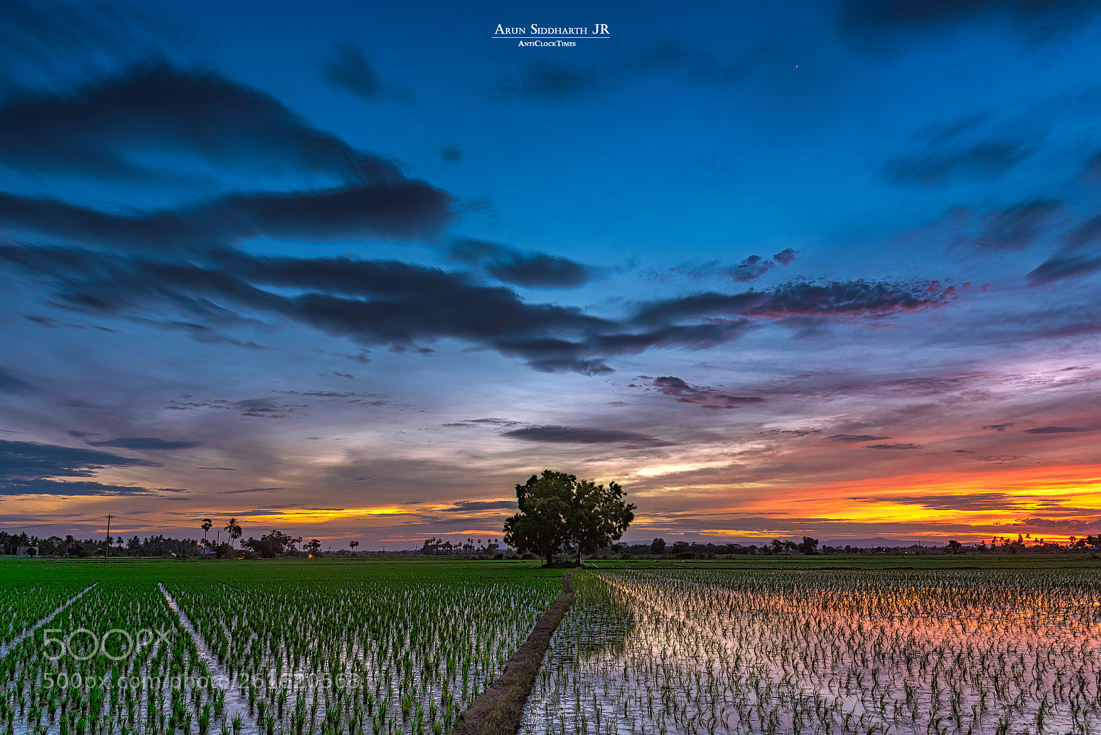 Nikon D750 sample photo. Farmland in dusk photography