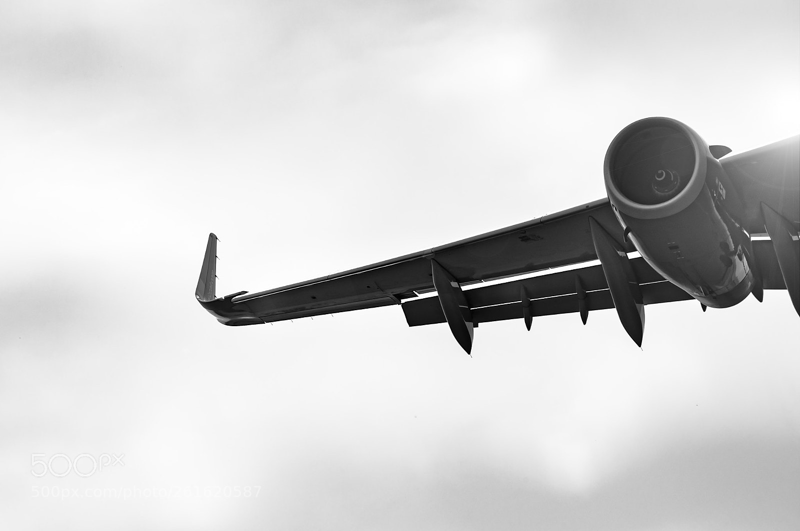 Nikon D90 sample photo. Wing photography