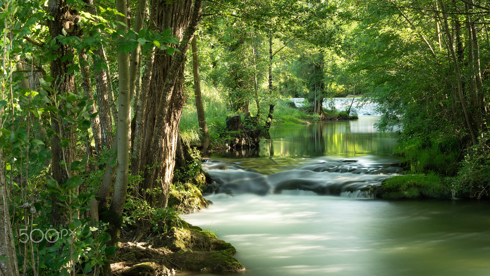 Panasonic Lumix DC-GH5 sample photo. Petite cascade au printemps photography