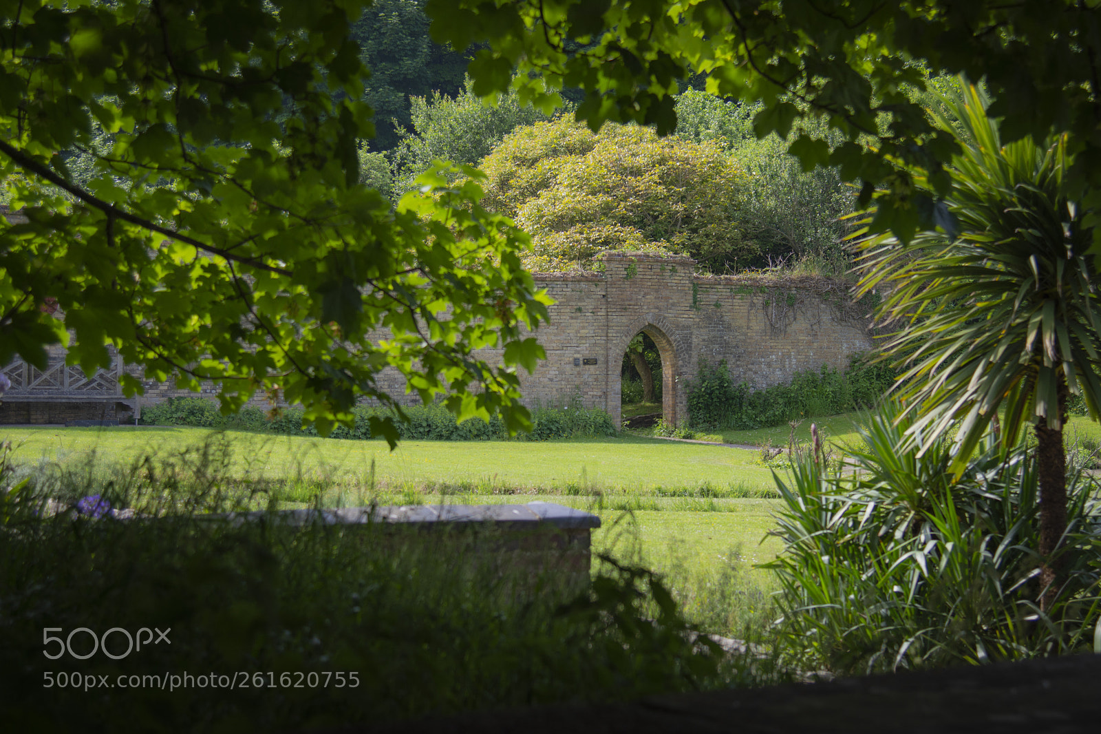 Nikon D7200 sample photo. Secret garden photography
