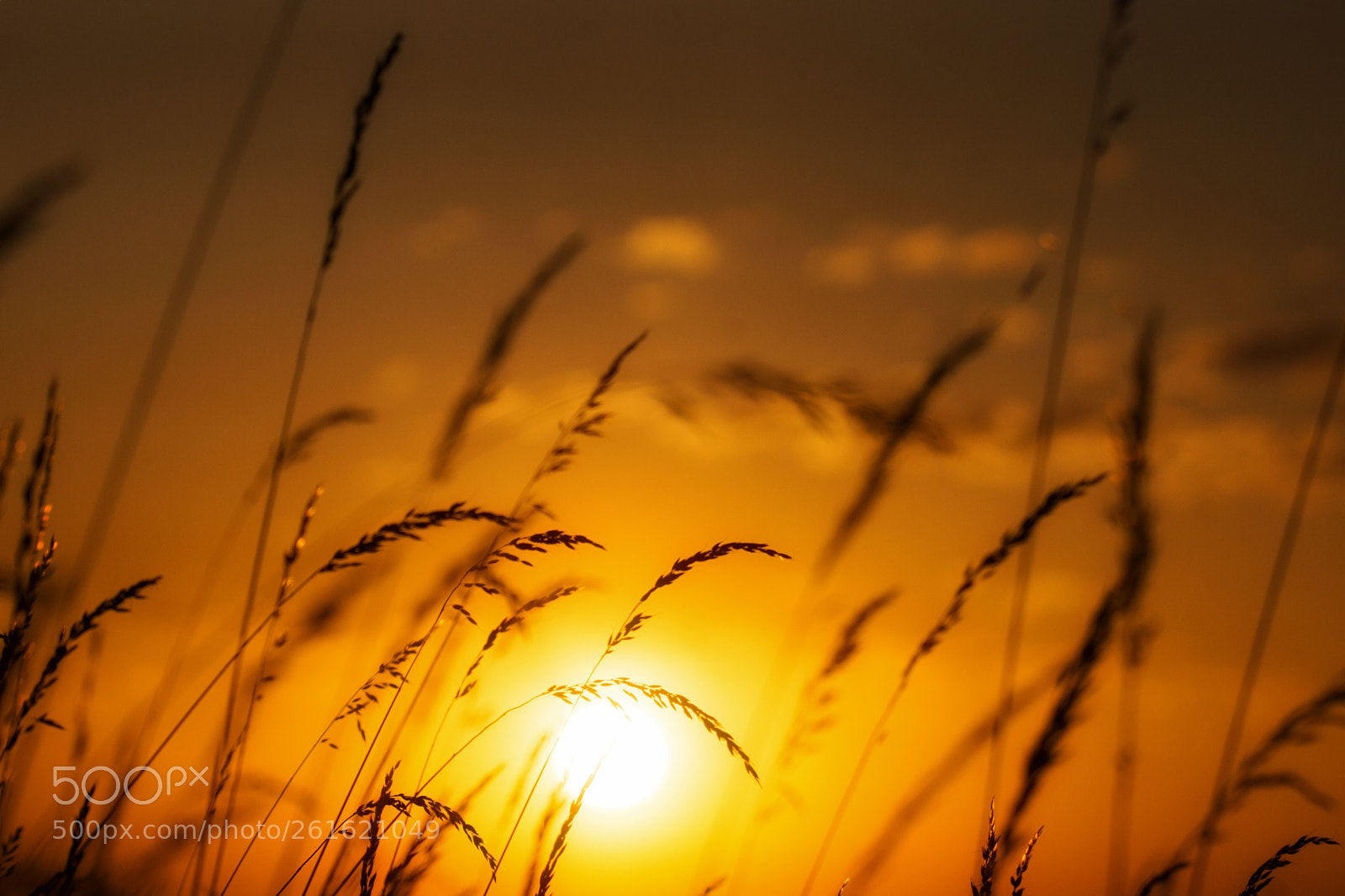 Sony SLT-A77 sample photo. Colorful colorado sunrise photography