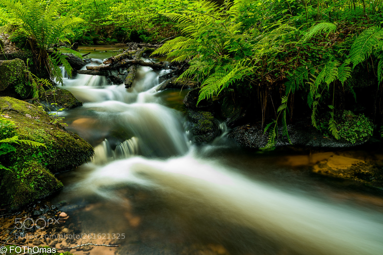 Sony a7R III sample photo. Shining water photography