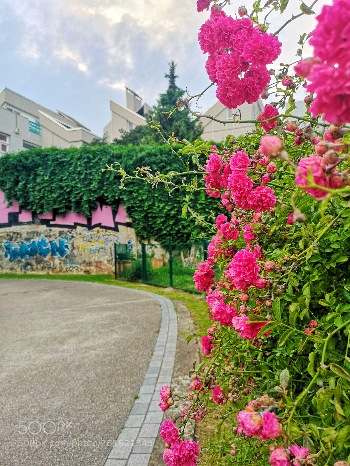 HUAWEI CLT-L29 sample photo. Untitled photography