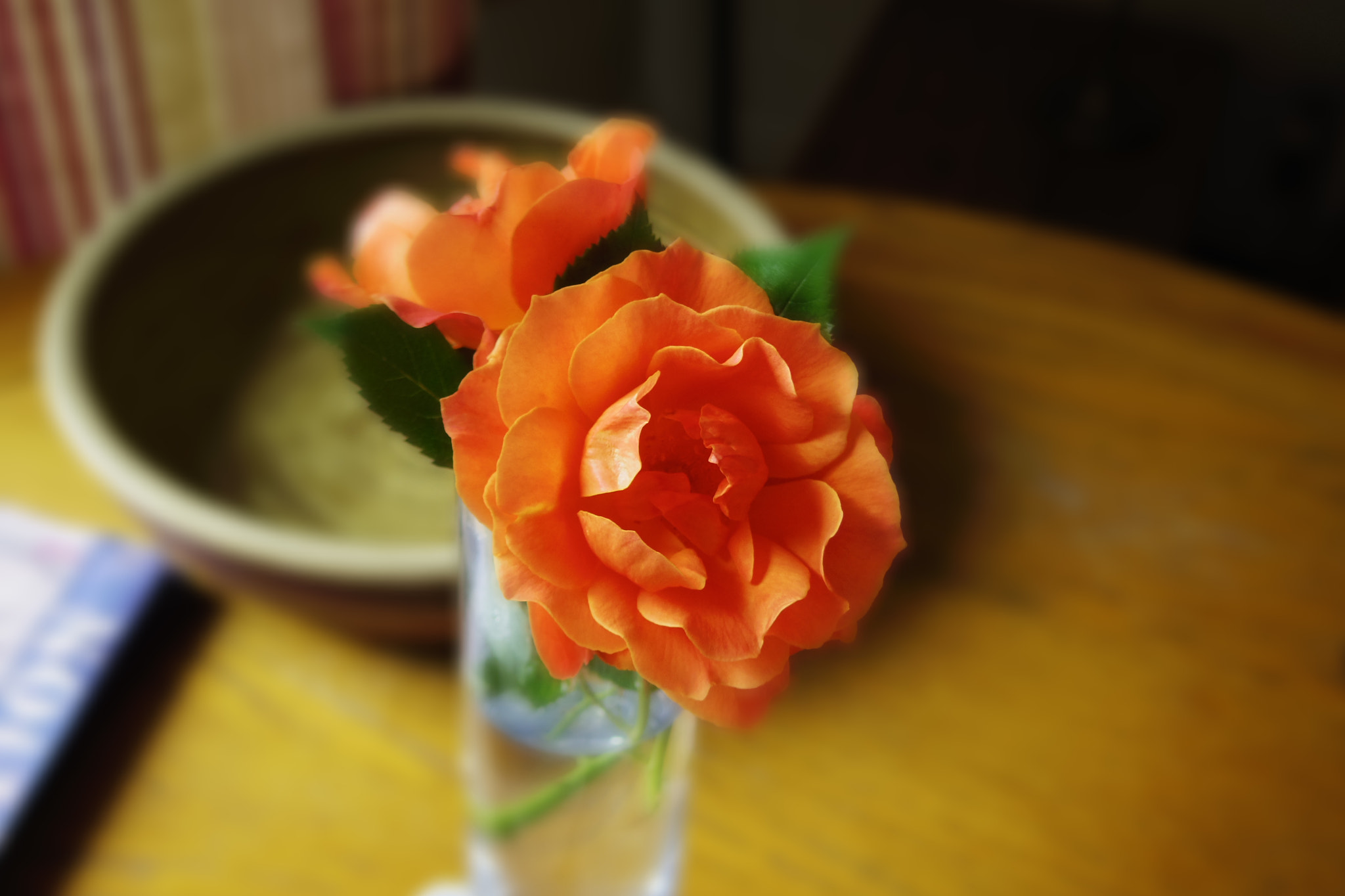 Pentax Q10 + Pentax 01 Standard Prime sample photo. Soft shapes photography