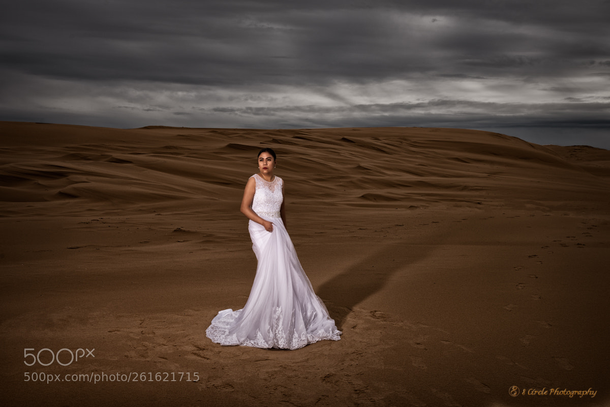 Nikon D810 sample photo. 8 circle photography photography