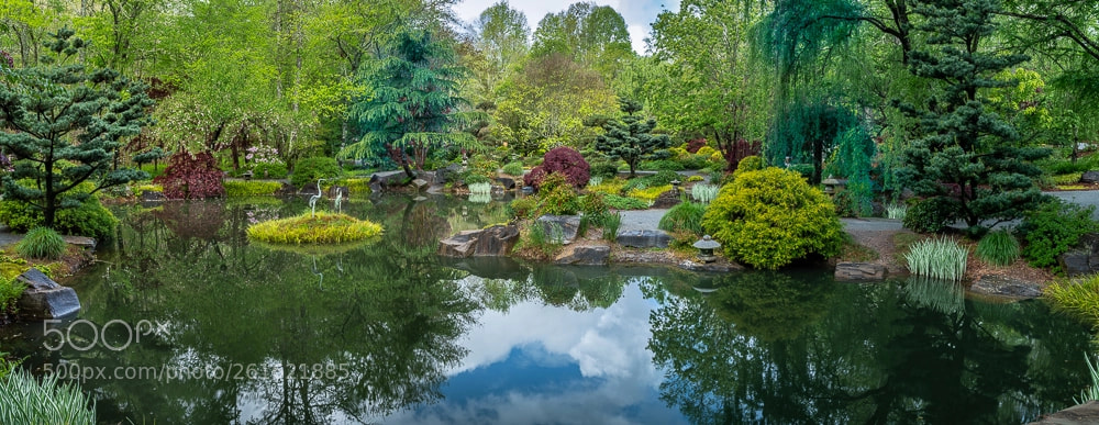 Sony a7R III sample photo.  georgian garden-pano photography