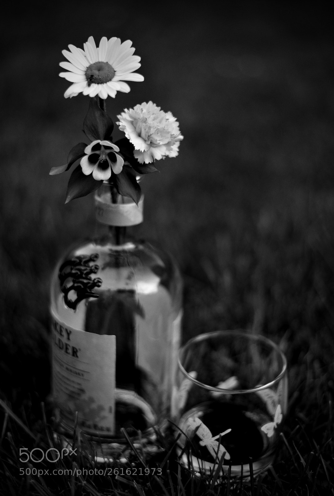 Nikon D700 sample photo. Gardening photography