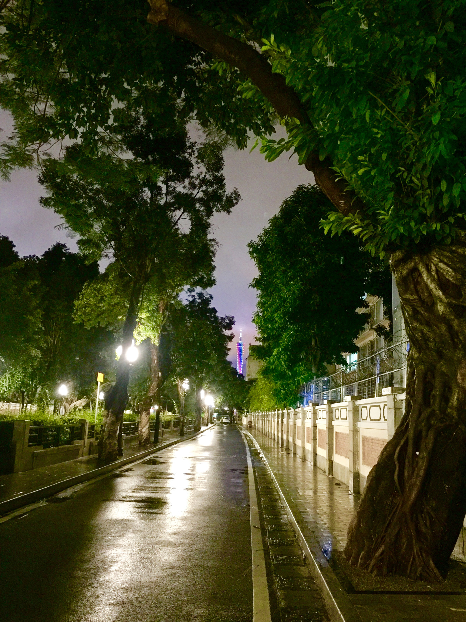 Apple iPhone 6 Plus sample photo. After the storm photography