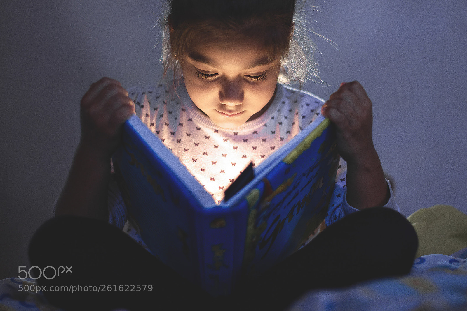 Nikon D810 sample photo. Idi photography